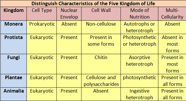 characteristics of five kingdoms