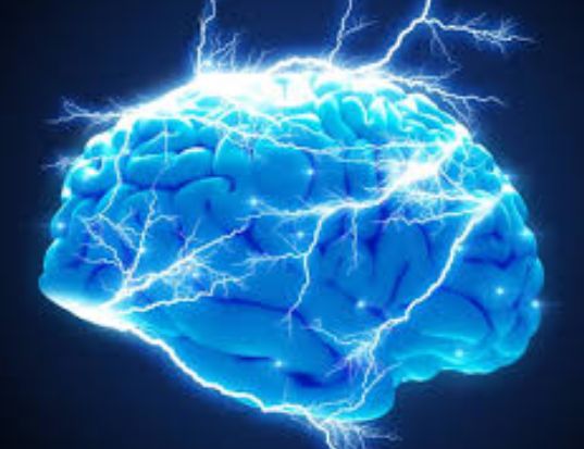 Brain capabilities increase