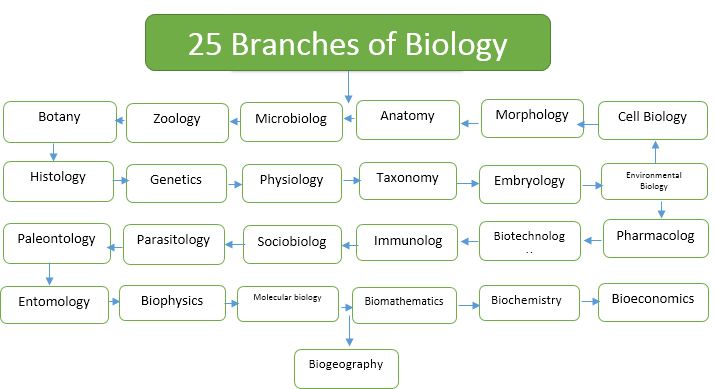 25 Branches of Biology