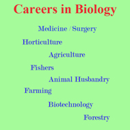 Careers in Biology