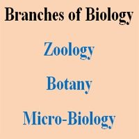 branches of biology
