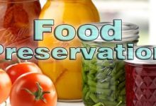 food preservation methods