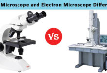 Difference between Light Microscope and Electron Microscope copy