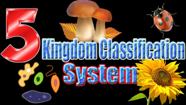 Five Kingdome Classification System