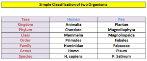 classification of two organisms