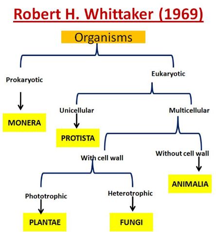 Robert H. Whittaker classification system