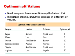 optimum ph value for enzymes