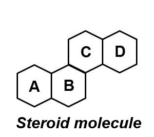 steoid molecule