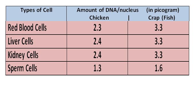 DNA in different cells