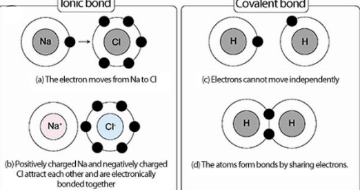 Ionic Bond vs Covalent Bond