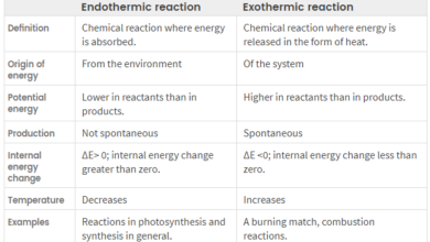 endothermic vs exothermic reaction