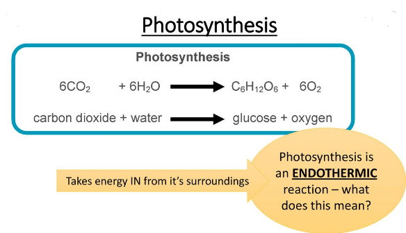 photosynthesis process is also a common example of an endothermic reaction