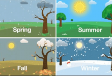 4 seasons of the year