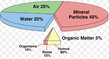 Composition of Soil