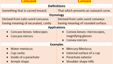 Difference Between Concave And Convex Lenses