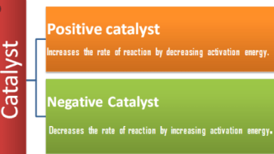 Difference Between Positive Catalyst and Negative Catalyst