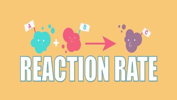 Rate of Reaction Formula and Examples | A Definitive Guide
