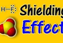 Shielding and Screening Effect