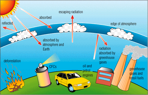 causes of acid rain