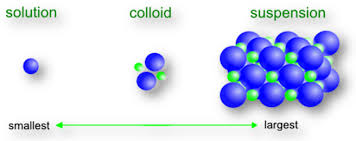 colloids