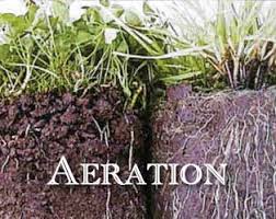 soil aeration as factors affecting water absorption in plants