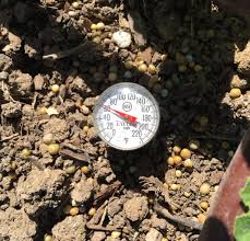 soil temperature as factors affecting water absorption in plants