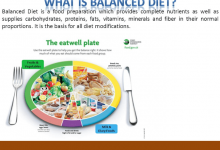 what is a balance diet