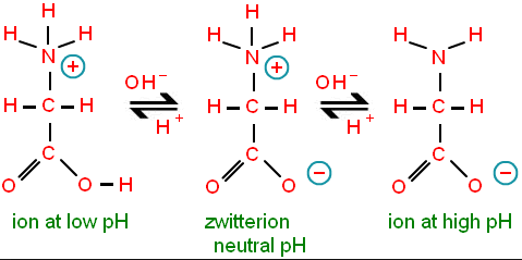 zwitterion amino acids