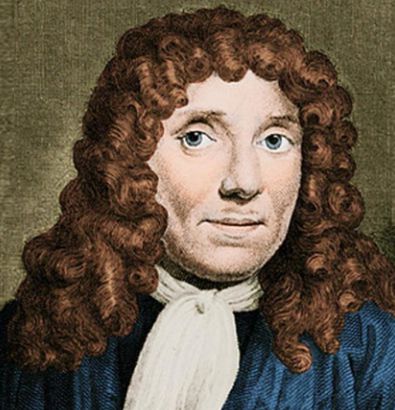 Antone Van Leeuwenhoek