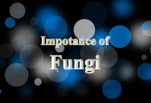 importance of fungi