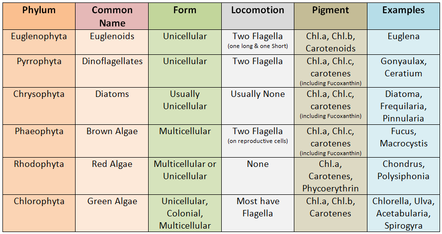 classification of algae (table)