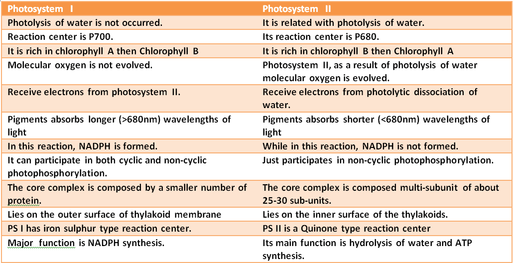 difference between photosystem 1 and 2