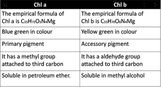 chlorophyll A vs chlorophyll B