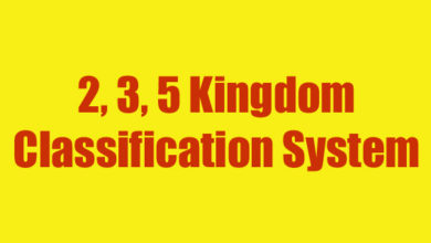 2 3 5 kingdom classification