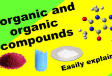 difference between organic and inorganic chemistry