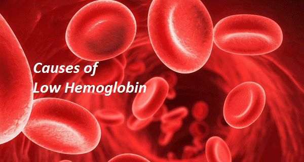 Low Hemoglobin Causes (anemia)