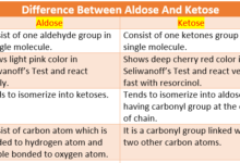 Difference Between Aldose And Ketose
