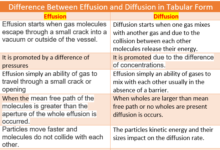 Difference Between Effusion and Diffusion