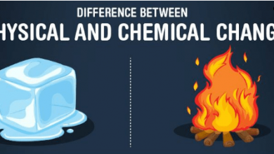 Difference between physical change and chemical change