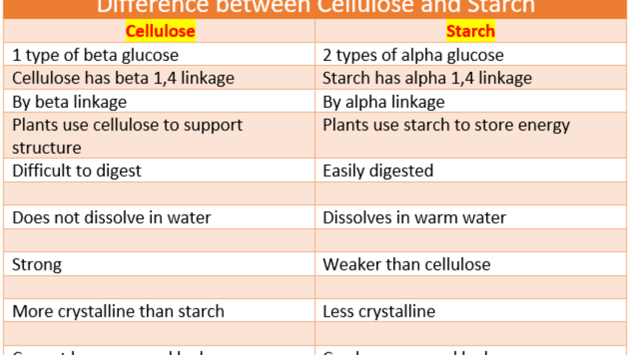 Difference between Sugar and Starch 