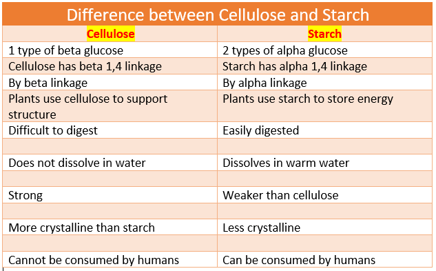 Starch vs Cellulose