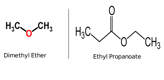 examples of ether and an ester