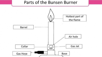 Bunsen burner Parts and Their Functions