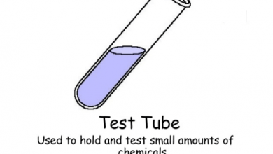 tst tube function