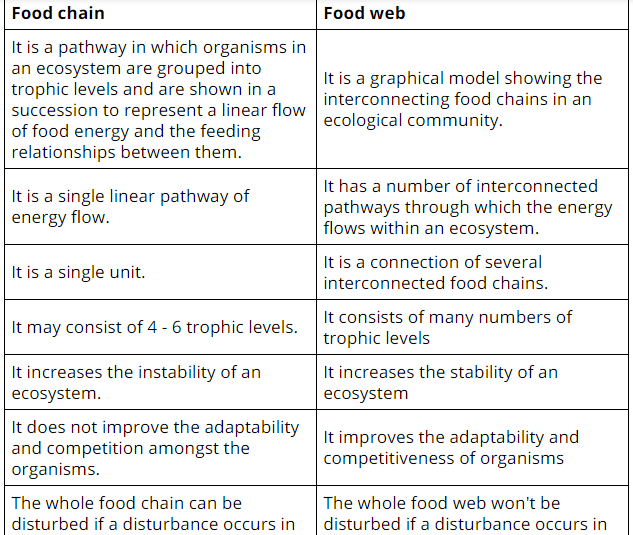Food chain vs food web