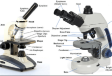 microscope parts and functions