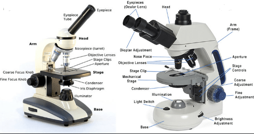 microscope parts and functions